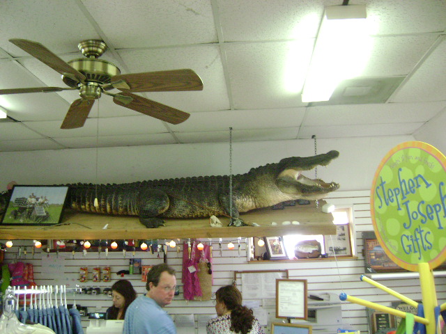 River Ranch 2-24-08 018.jpg